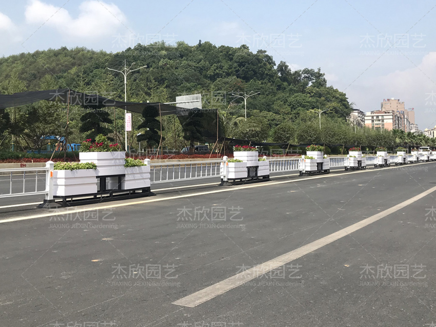 花箱價格，值得好好研究